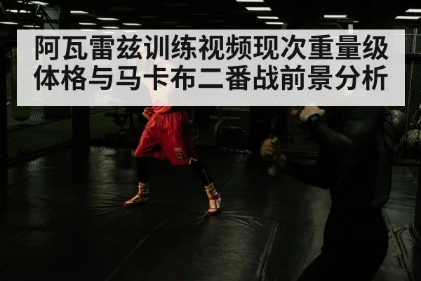 阿瓦雷兹训练视频现次重量级体格与马卡布二番战前景分析