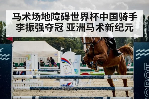show jumping horse